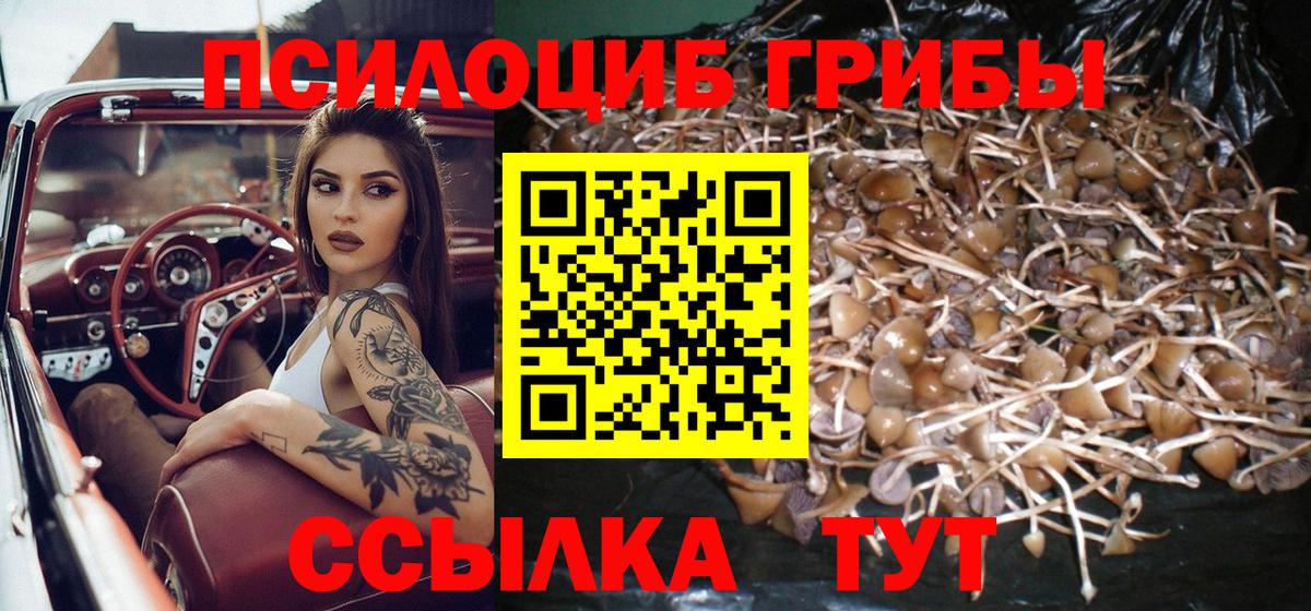 сколько стоит  Вход с VPN  Лесосибирск  Галлюциногенные грибы MAGIC MUSHROOMS  Псилоцибиновые грибы Cubensis 